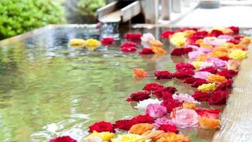 施設の敷地 / 19