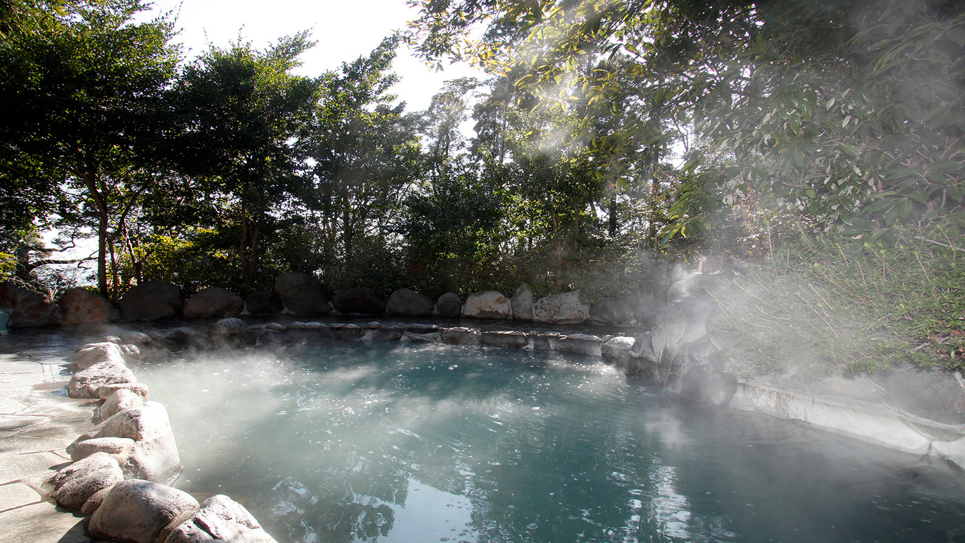 プロジェクションマッピングの通路を通って、いざ温泉へ4249211