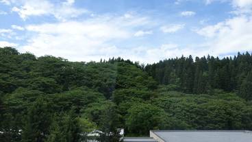 部屋からの景観 / 20