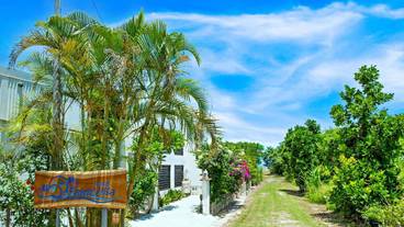 メイン イメージ / 1