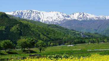 マウンテン ビュー / 13