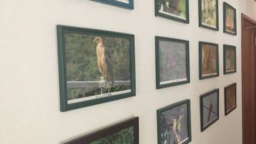 内装の詳細 / 11