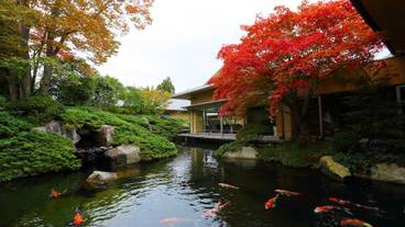 日本庭園① / 12