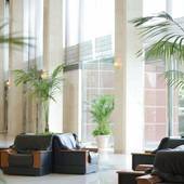 マロウドインターナショナルホテル成田（千葉県 ビジネスホテル） / 3