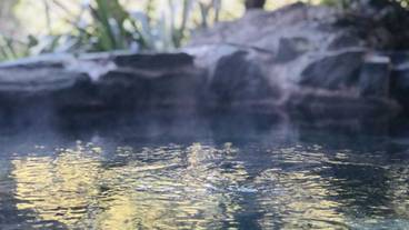 共用バスルーム / 35