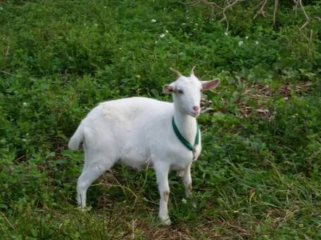 エコヴィレッジ西表 / 3