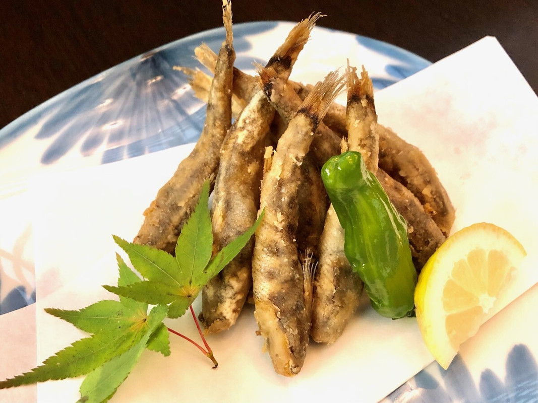 夕食一例／トロボッチ