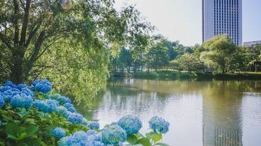 観光スポット / 6