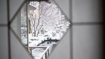 ガーデン ビュー / 5