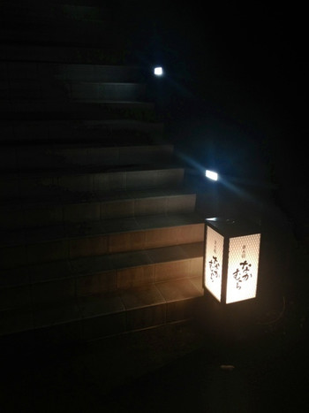 「並木橋なかむら」外観 52588 