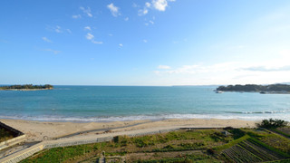 ツインルーム シングルベッド 2 台 禁煙 オーシャンビュー