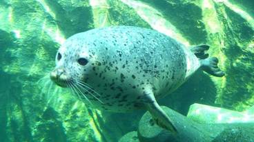 フィットネス設備 / 5