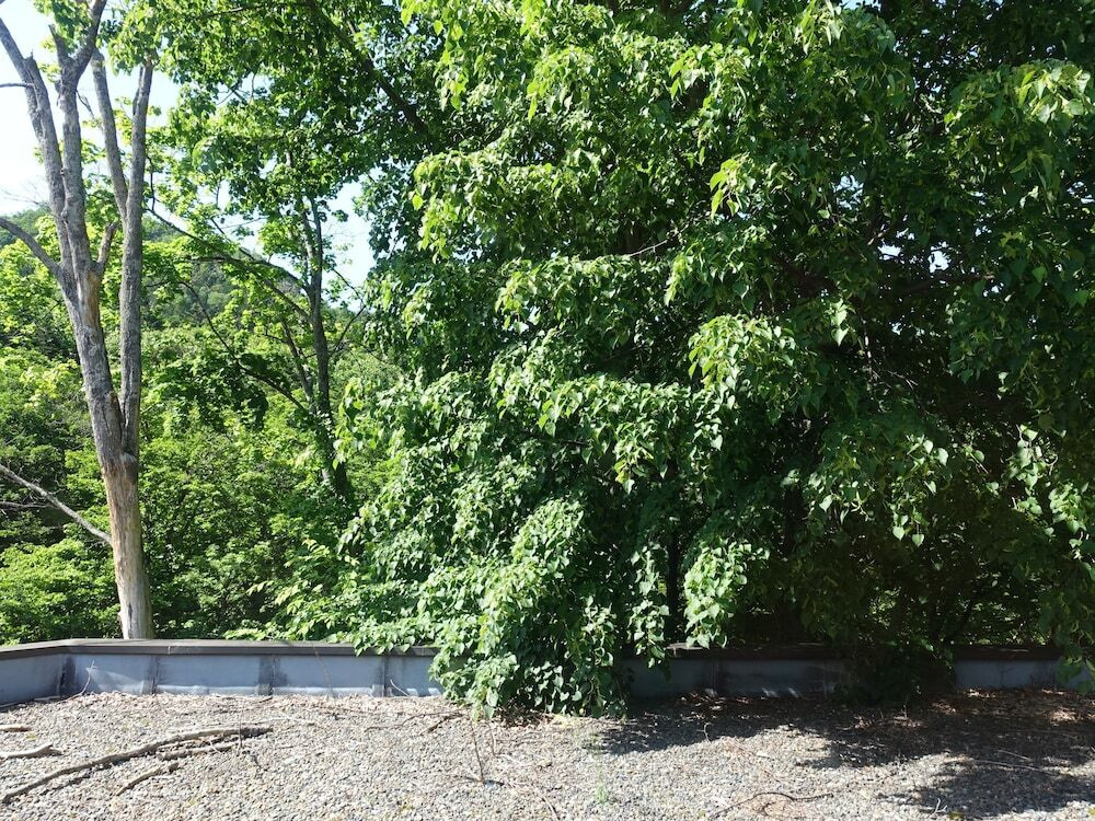 部屋からの景観