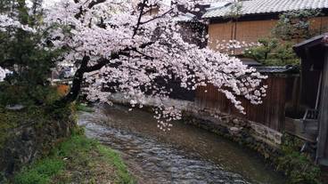 観光スポット / 34