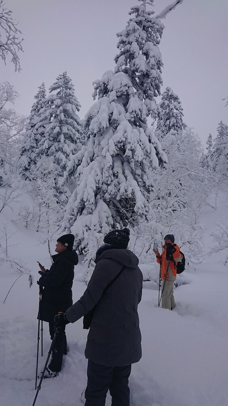 スノー スポーツとスキー