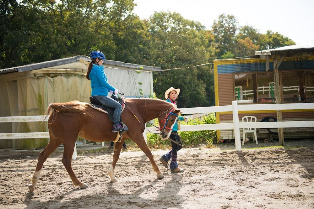馬と田舎道をゆっくり進めば、見えるものすべてが鮮やかに感じられるかも3405347