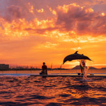 四国水族館に行く香川旅行♪カップルで泊まりたい素敵なホテル7選