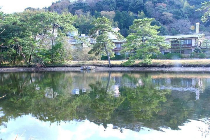 zunko0306さんの写真 / 2