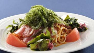 食事・飲み物 / 20