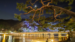 クラシック ツインルーム