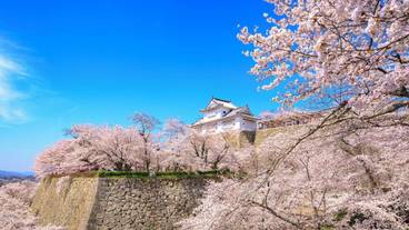 観光スポット / 13