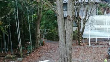 部屋からの景観 / 16