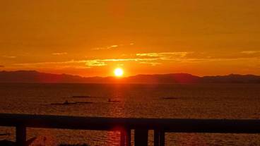 施設からの眺望 / 30