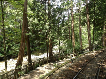 4.森林の中を走るトロッコ列車「赤沢森林鉄道(赤沢自然休養林)」2186861