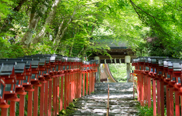 ザ・京都」な写真が撮れる♩京都市内のおすすめ観光スポット12選