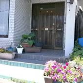 ゲストハウス 涼風 ＜奄美大島＞（鹿児島県 ゲストハウス・ホステル・ドミトリー） / 4