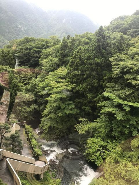 megram_holaさんの写真 / 1