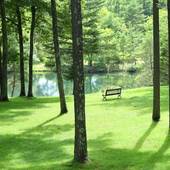 蓼科東急ホテル（長野県 リゾートホテル） / 5