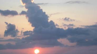 テラス / パティオ / 37