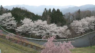 施設からの眺望 / 12