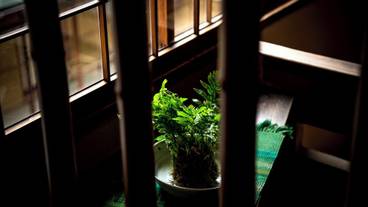 施設内の設備 / 11