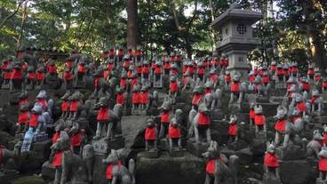 施設の敷地 / 13