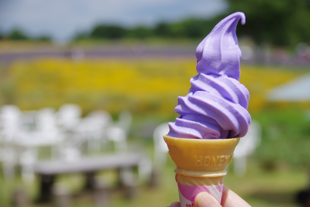 【Plan.3】北海道のおいしいもので幸せいっぱいグルメ旅3704895