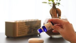 スタンダード ルーム ダブルベッド 1 台