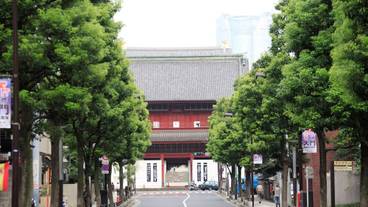 ランド ビュー / 14