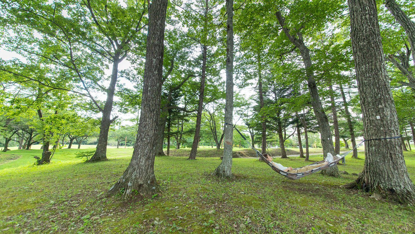 オールインクルーシブで楽しむ、大人のための森と温泉リゾート3452689