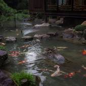 湯田温泉 松田屋ホテル（山口県 旅館） / 3