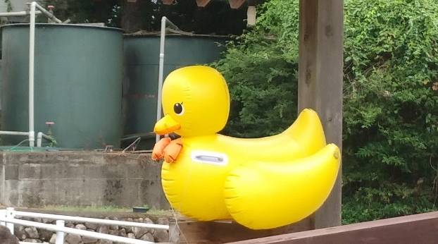 栃木 那須 馬頭温泉郷 南平台温泉ホテル（栃木県 旅館） / 1