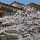 おごと温泉 びわ湖花街道(滋賀県 旅館) / 5
