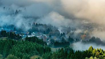 ランド ビュー / 26