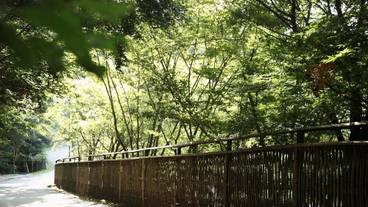 施設の敷地 / 11