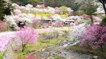 施設の敷地 / 23