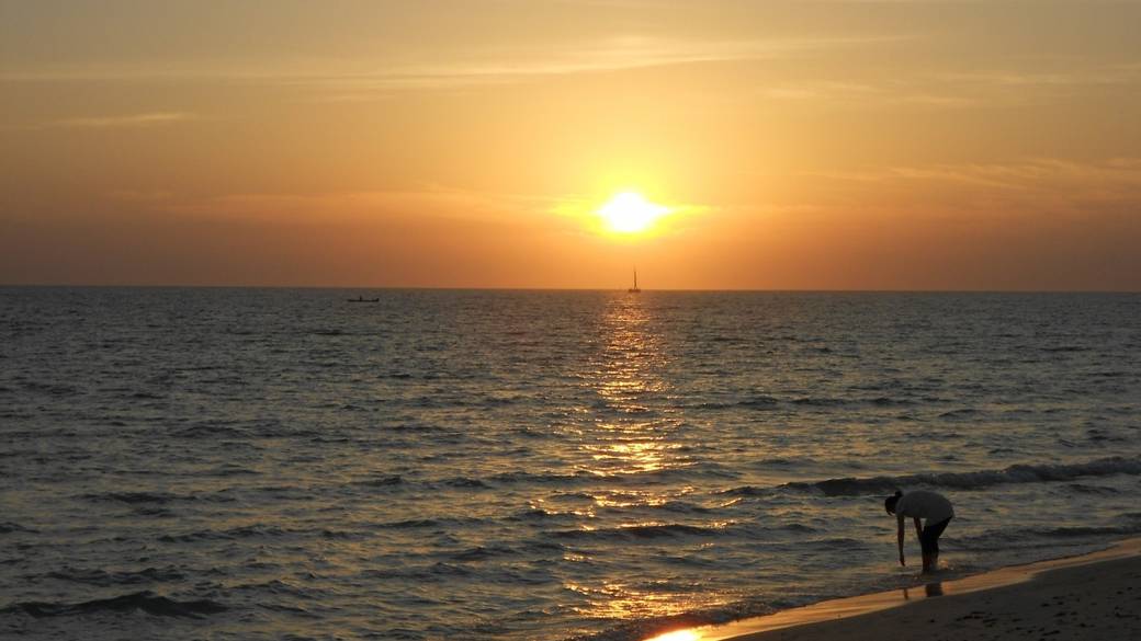 ガーデンやビーチを散策
夕陽が落ちる海を眺めて / 3