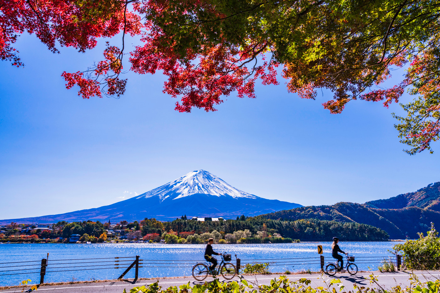 （山梨県）紅葉の河口湖・湖畔サイクリングを楽しむ人達と富士山