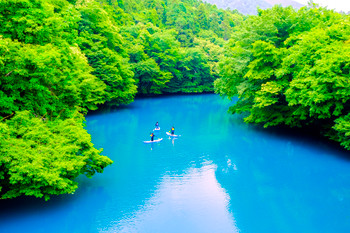 Fresh green Lake Shima and kayaking 1