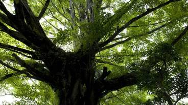 施設からの眺望 / 30